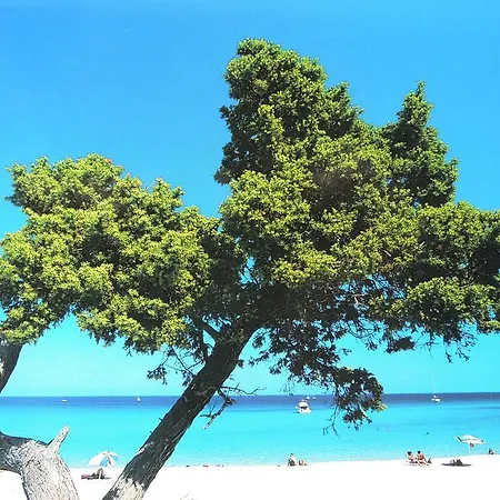 Mare E Vista *